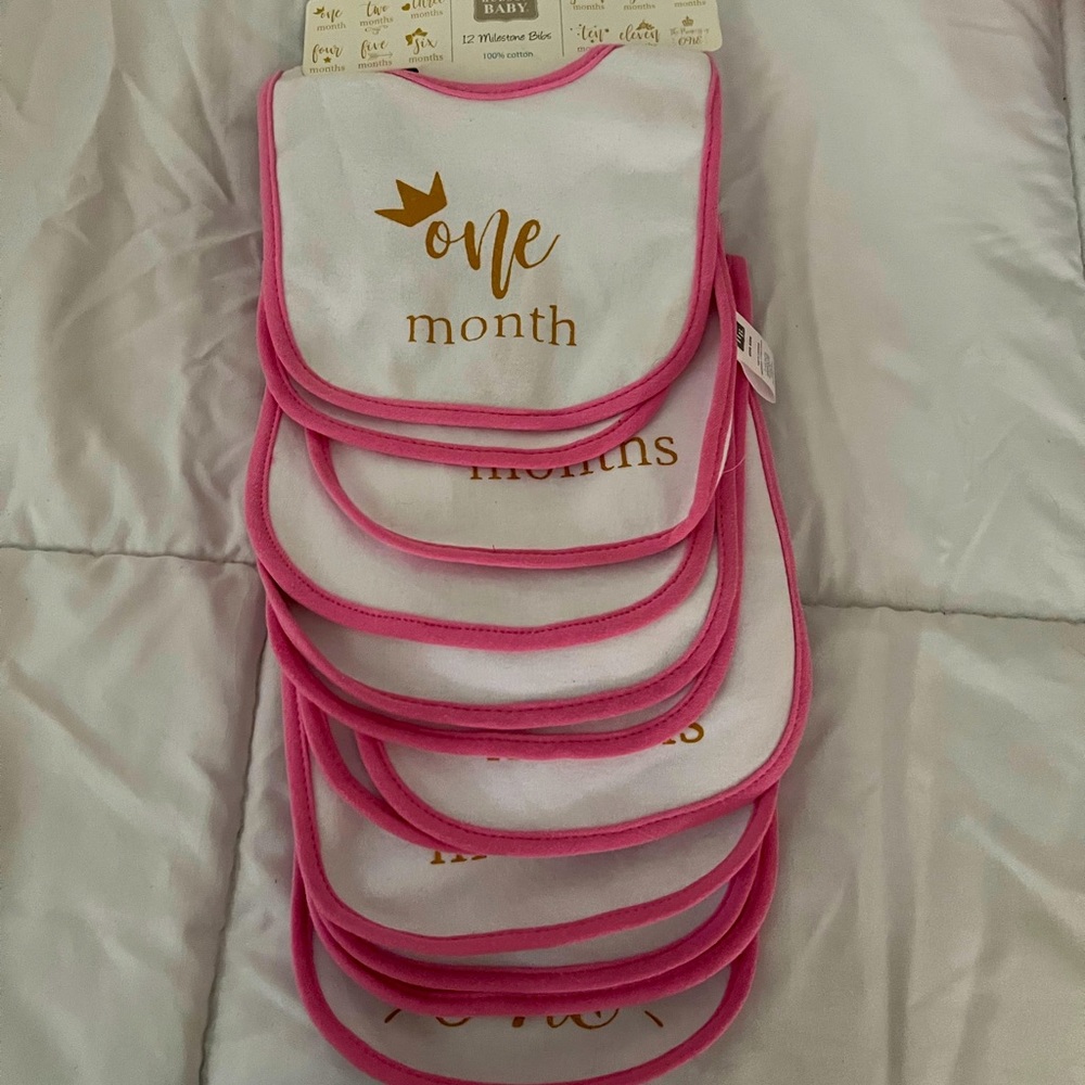 12 month milestone bibs